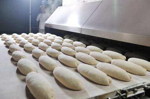 Bread being transported into an oven on a conveyor belt